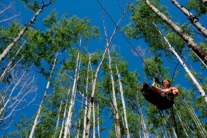 Man Ziplines in Forest