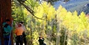 TallTimber 131 e1504544807710