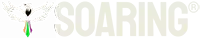 durango zip line logo resized