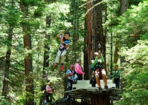 a group of people in a forest