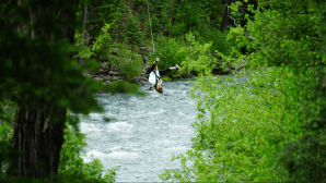 a man riding a horse in a forest