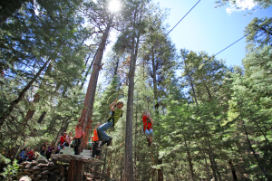 kid ziplining in forest