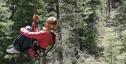 Spans of Soaring a man in a forest