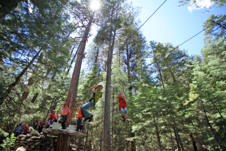 kid ziplining in forest