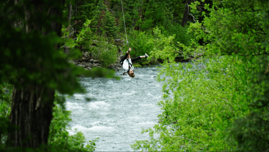 a man riding a horse in a forest